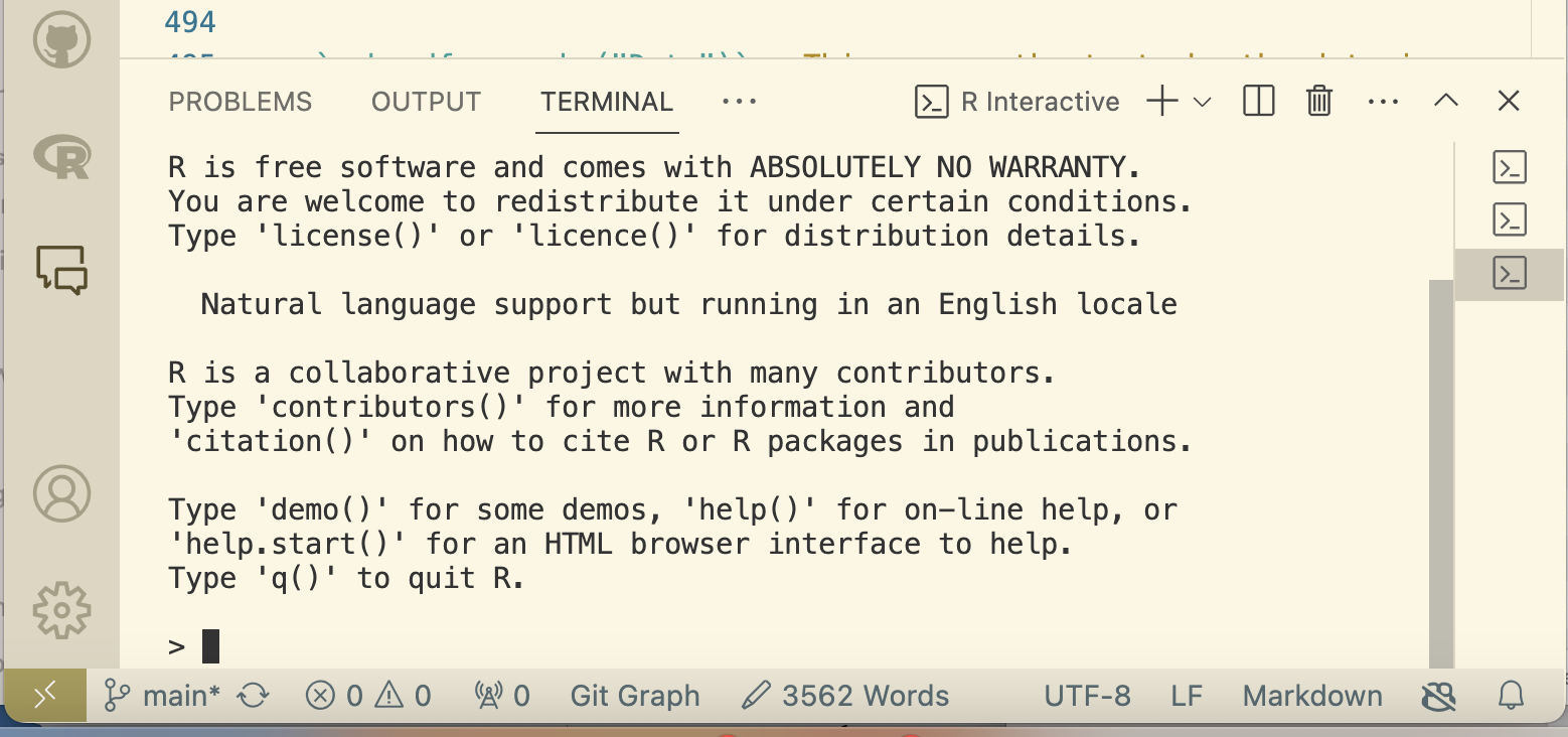 R Terminal in VS Code